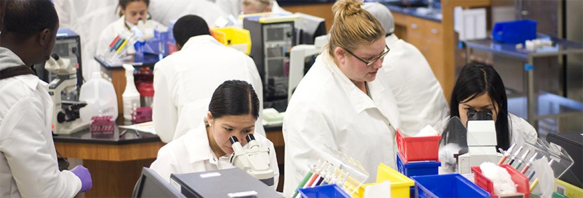 Biology Lab at Minneapolis College instructor with students in a biology lab